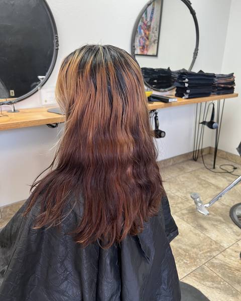 Before: client's shoulder-length hair with faded red-brown color